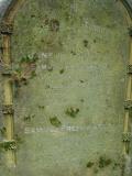 image of grave number 133914